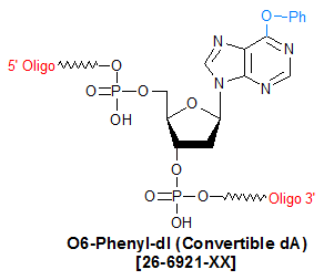 picture of Convertible dA (O6-Phenyl-deoxy Inosine)
